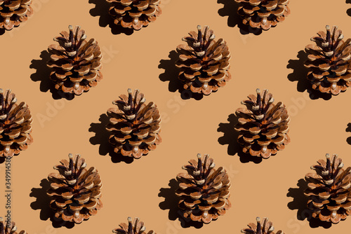 pine cone creative layout, nature background, season minimal pattern, isometric flat lay, brown monochrom color