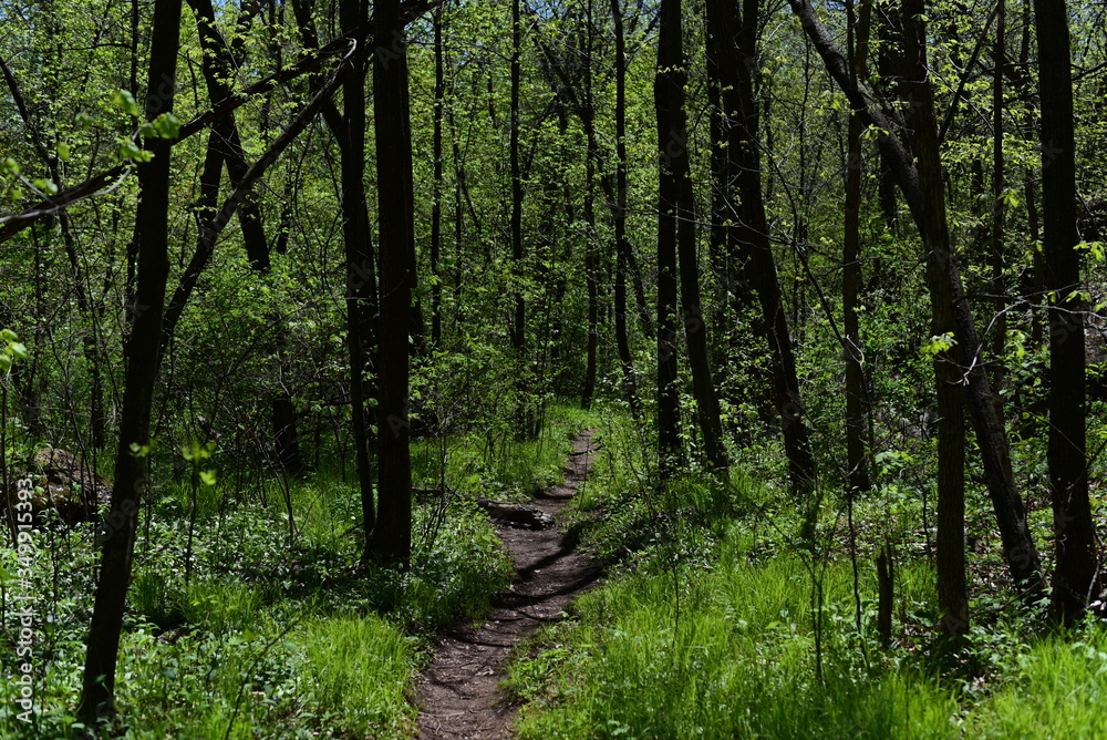 Obraz premium Interstate State Park