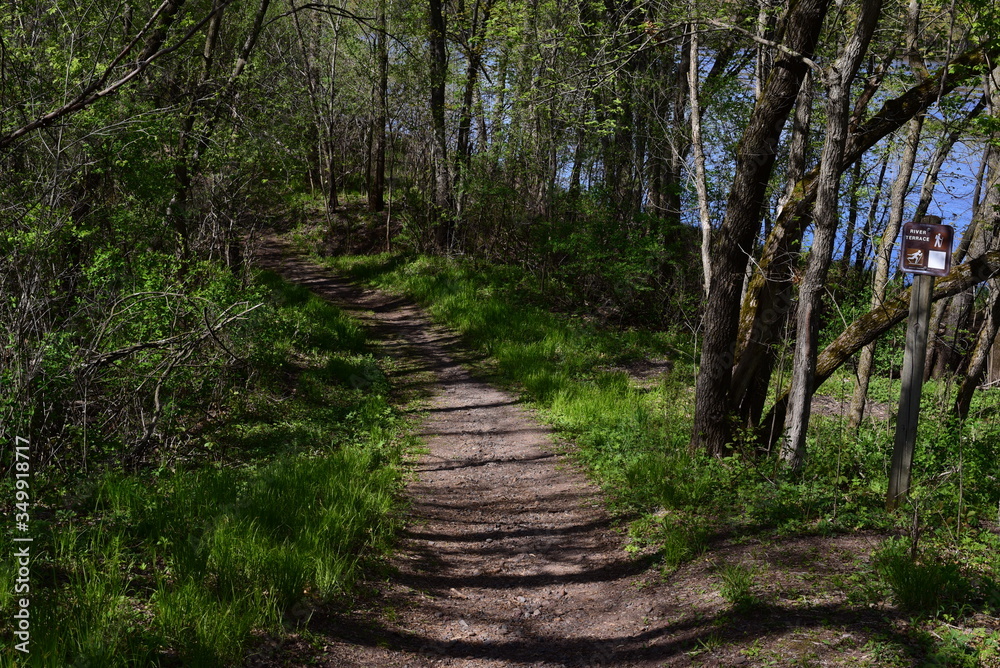 Obraz premium Wild River State Park