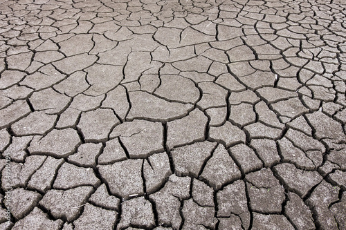 dry cracked ground