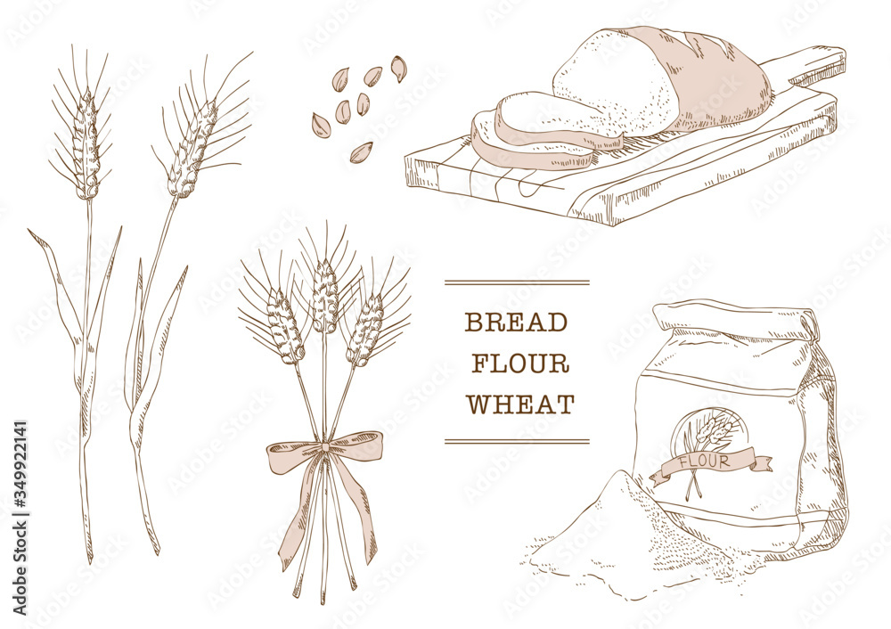 小麦 小麦粉 パン ベクターイラスト Stock ベクター Adobe Stock