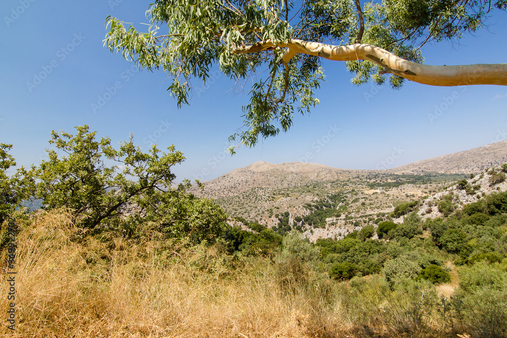 Plateau du Lassithi