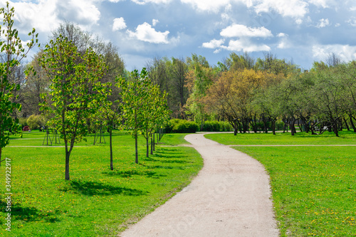 A winding path in a city Park. Spring landscape.