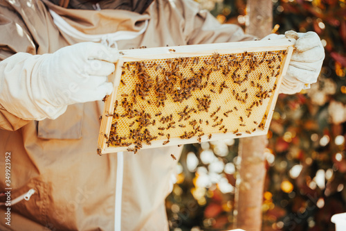 A beekeeper in protective clothing is holding a honeycomb in his hands for inspection.