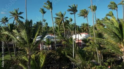 Aerial drone pan shot over palm beach during sunny day. Aerial shot of palm trees and hotel houses on the ocean coast, tropical resort under bright sky in windy weather photo