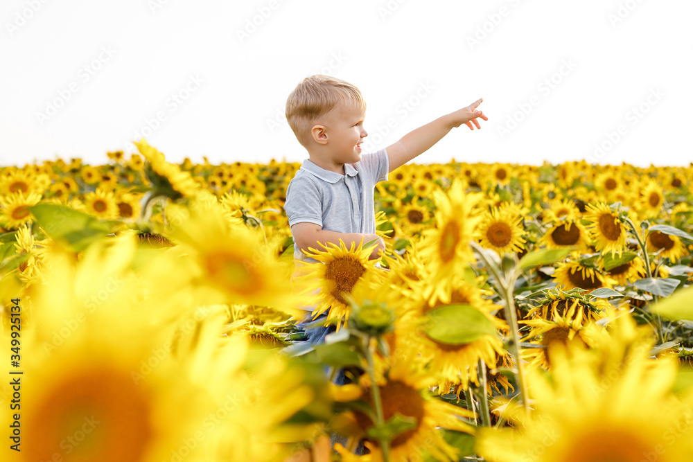 Fototapeta premium Father and son having fun in field of sunflowers. Little boy sitting on his dad shoulders and smiling. Summer outdoors lifestyle, family leisure, parenthood