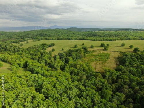 Aerial view of a beautiful forest . 