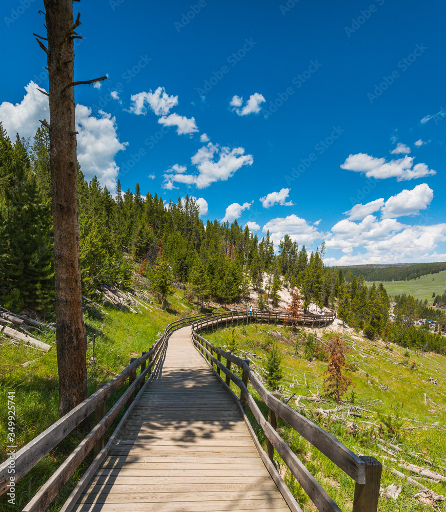path way in geyser area, in Yellowstone National park,Wyoming,usa. path way in geyser area, in Yellowstone National park,Wyoming,usa.