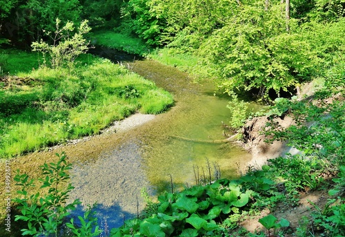 Wissbachschlucht, Naturparadies, Ostschweiz