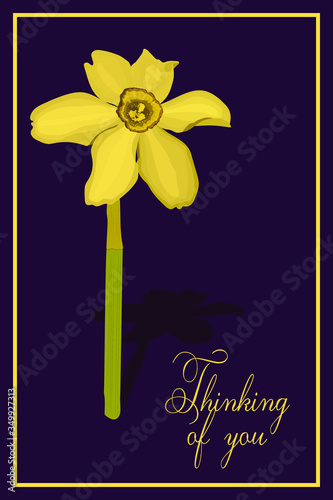 Thinking of you - card.Yellow flower Narcis. Eps10 vector stock illustration