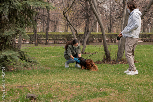 Young woman in casualwear and protective gloves and mask playing with dog
