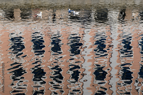 In the calm water of the river  pink and white walls of the building with dark windows are reflected. Ducks calmly swim in the water. Abstract. Background.