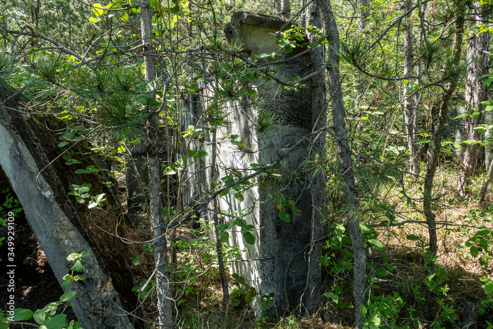 Obraz premium old bunker pieces in the forest