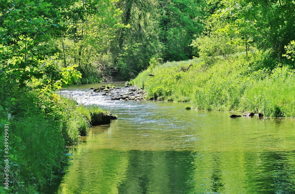 Wissbachschlucht, Naturparadies, Ostschweiz Wissbachschlucht, Naturparadies, Ostschweiz