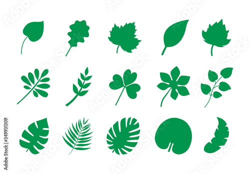Set of leaf icons. Different green leaves of plants. Vector flat icons.