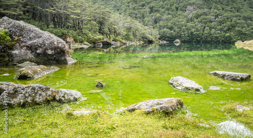 Pristine alpine lake with amazing colors, shot at Nelson Lakes National Park, New Zealand