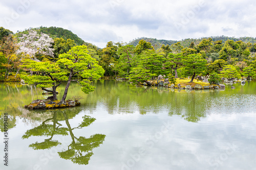 Lake in temple or shrine garden with island and bonsai tree and moss in Kyoto  Japan during spring on cloudy day with refelction landscape view