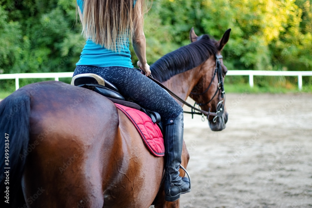 Young beautiful brunette girl riding a horse. Rear view. Young beautiful brunette girl riding a horse. Rear view.