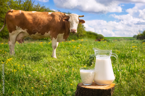 milk with cow on the background