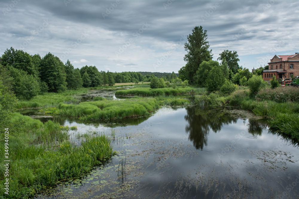 old pond overgrown with grass and trees. on the right you can see the red brick house