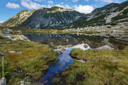 Alpine Lake in a sunny summer day. Retezat Mountains National Park - Transylvania