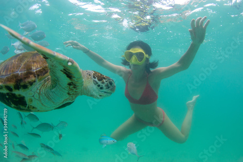 beautiful girl dives with wild turtles in the clear ocean near the island of Mauritius