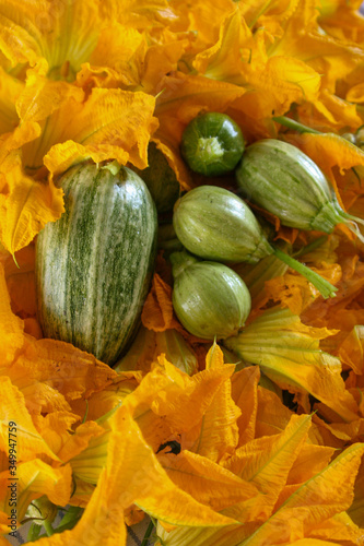 Squash flowers photo