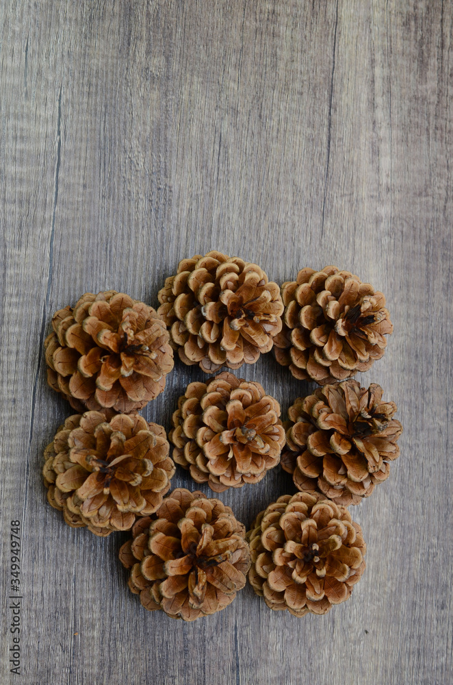 Fresh dry pinecone flower on wooden Fresh dry pinecone flower on wooden