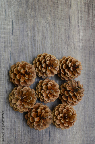 Fresh dry pinecone flower on wooden