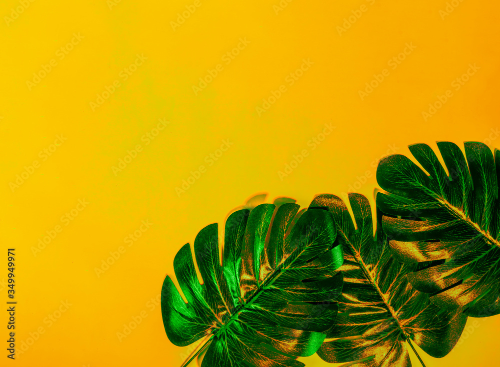 Tropical leaves of palm tree on gradient of orange background. Concept of summer background.