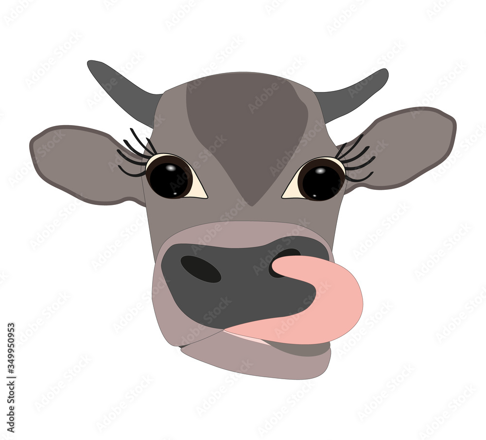 head of a gray-brown cow with big eyes and tongue sticking out on a white background head of a gray-brown cow with big eyes and tongue sticking out on a white background