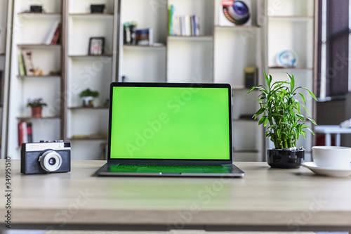 Laptop with mock-up green screen white background in office and Lovely plant in black pot © Евгений Дмитриченко
