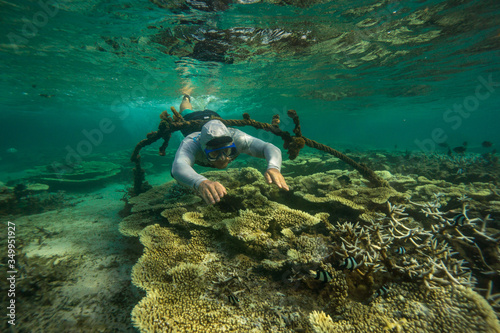 A young man dives among the multicolored corals in the Indian Ocean. Snorkeling in Mauritius