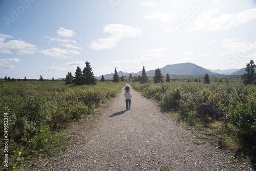 Walking towards the Summit