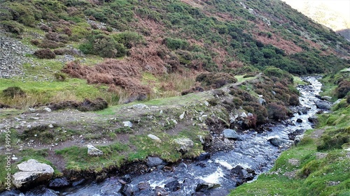 Bild auf Leinwand craggy stream