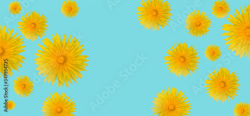 Dandelion flowers on blue background top view