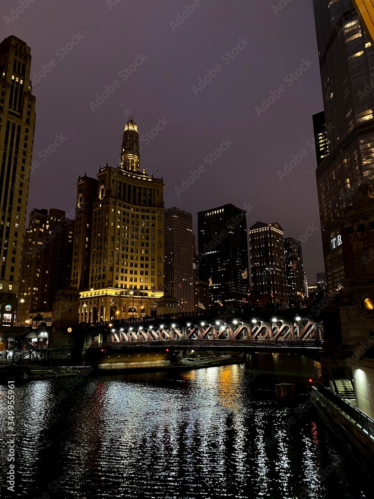 Obraz premium chicago skyline at night