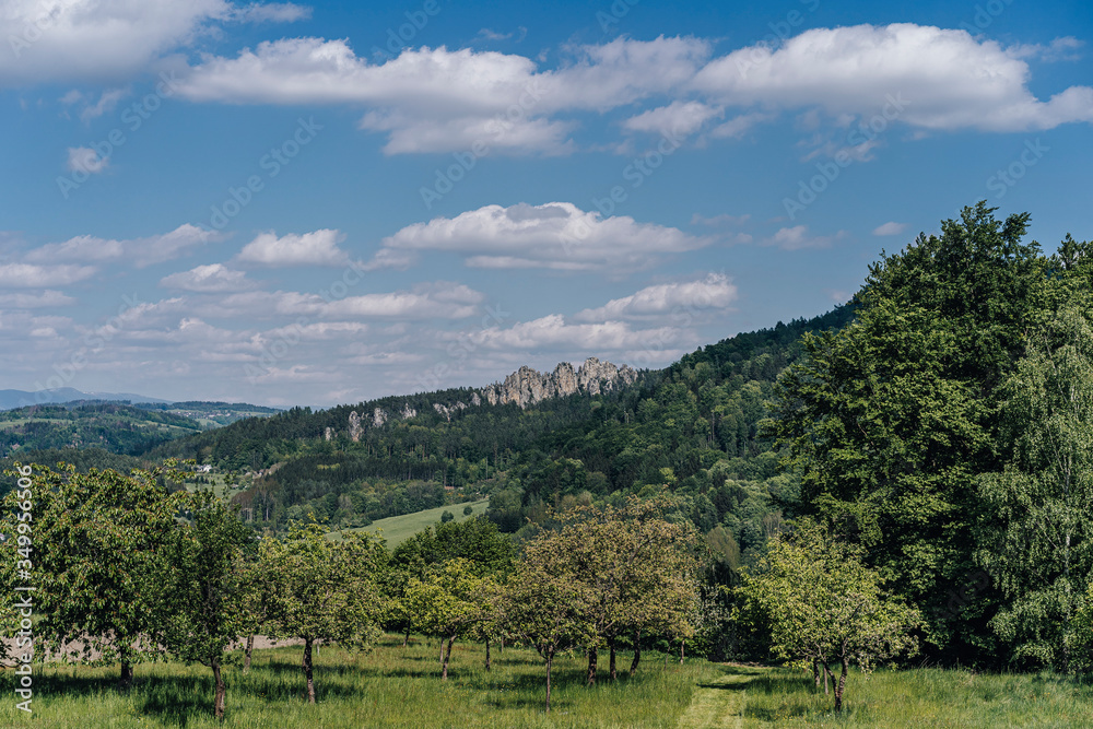 Beautiful view of the rocky ridge of Suche skaly (Dry Rocks), in Cuech paradise (Cesky raj). Fantastic sharp rock wall and sandstone formation of Suche skaly, Czech republic.
