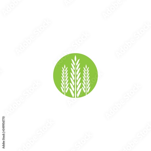 Rice logo icon concept