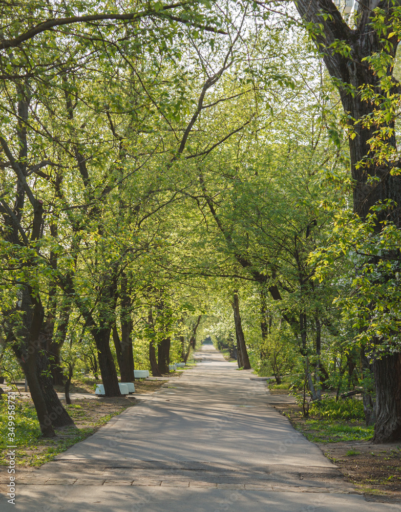 Naklejka premium cozy valley without people at summer sunny day