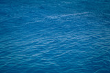 Texture of turquoise blue water. Rich color and slight ripples on the surface. Background and space.