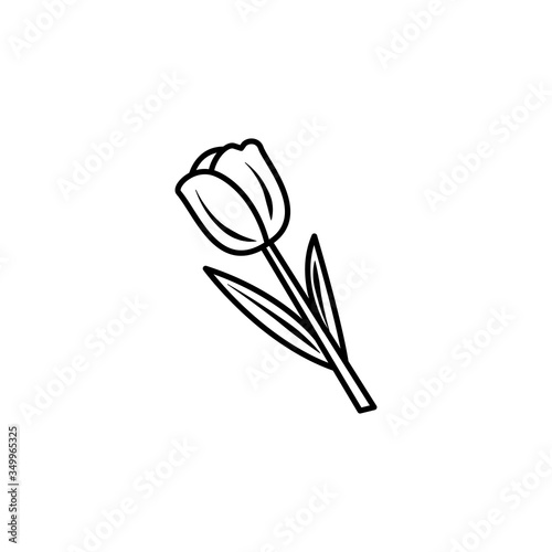 flower line illustration icon on white background