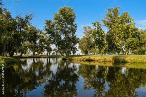 Three birch trees stand by the water
