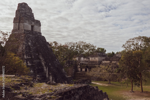 Tikal jungle