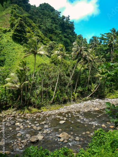 Wainibau stream on Lavena Coastal Walk, Taveuni Island, Fiji