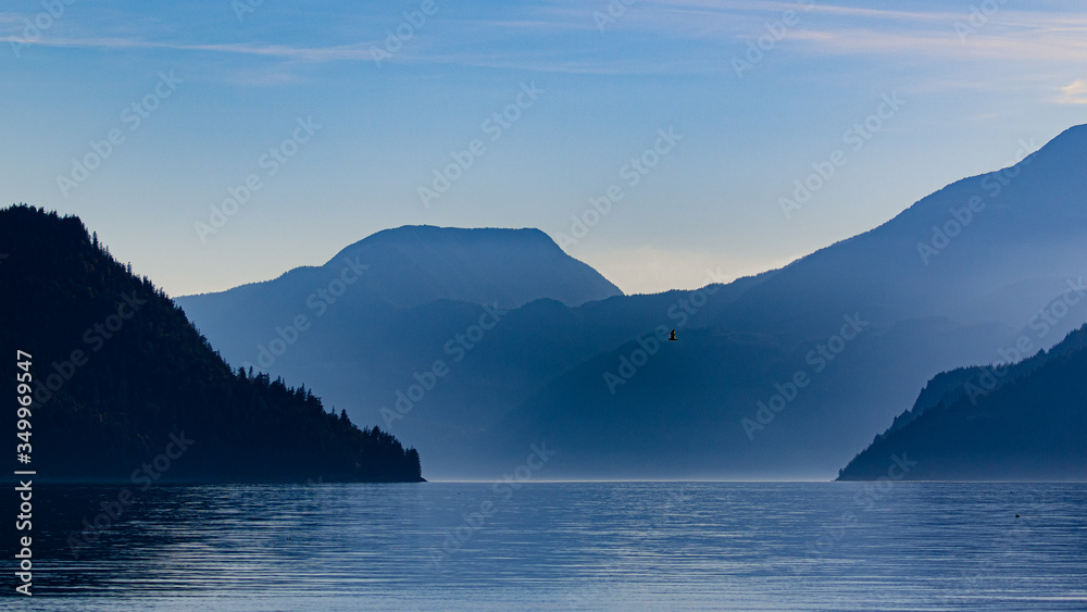 Obraz premium Bootstour in Campbell River, British Colombia, Canada in den Inlets