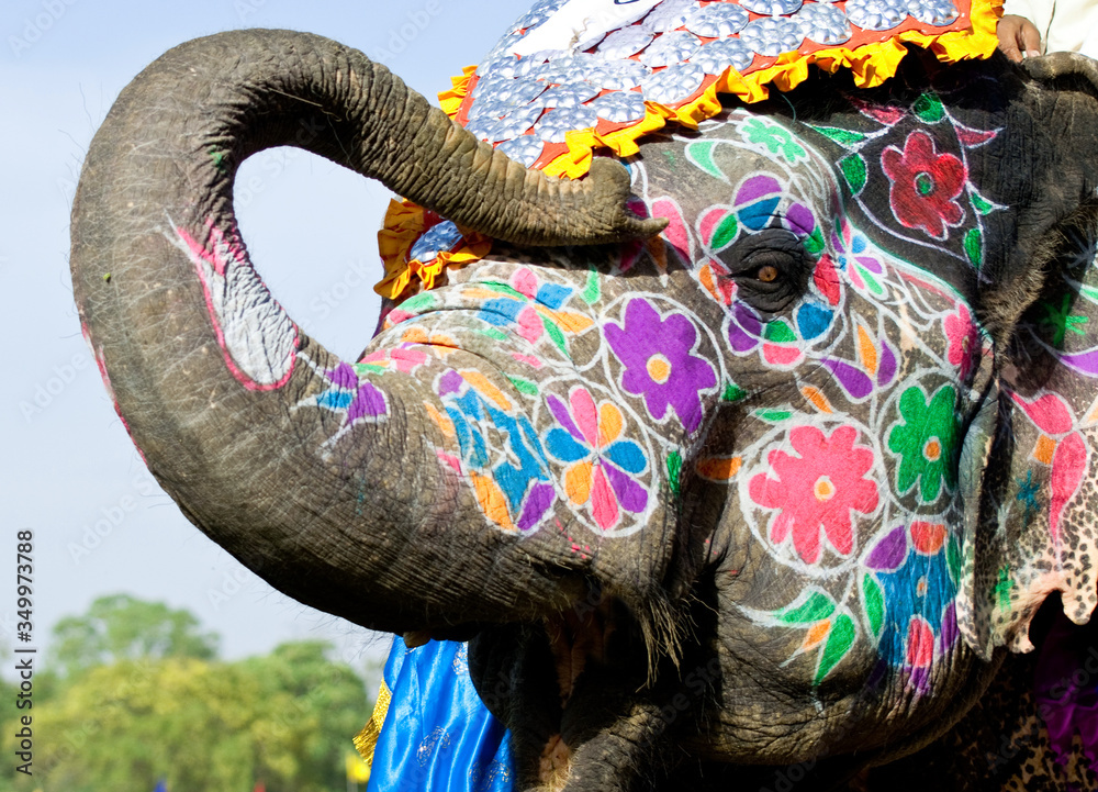 Painted Elephant painted-elephant