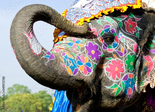 Painted Indian elephant example