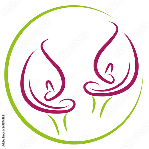 Zwei Zantedeschien, Pflanze, Calla, Blume, Logo, Icon