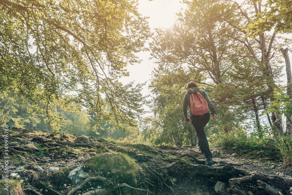 Obraz premium Female hiker walking outdoors in woods